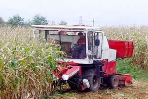 4ly-3 Corn Combination Harvester